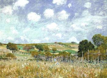 Alfred Sisley : Meadow